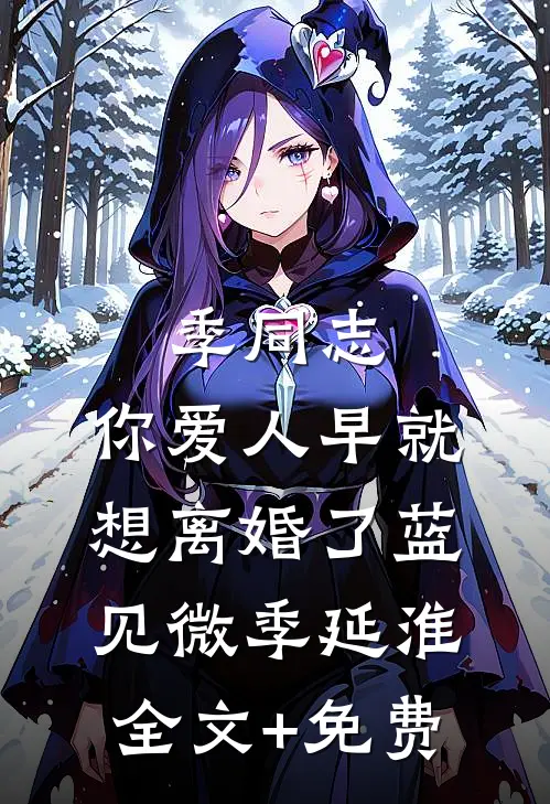 季同志，你爱人早就想离婚了蓝见微季延淮全文+免费
