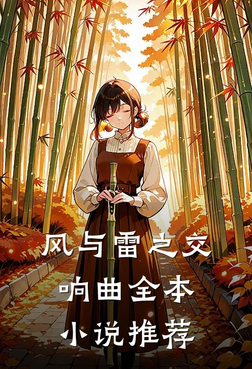 风与雷之交响曲全本小说推荐