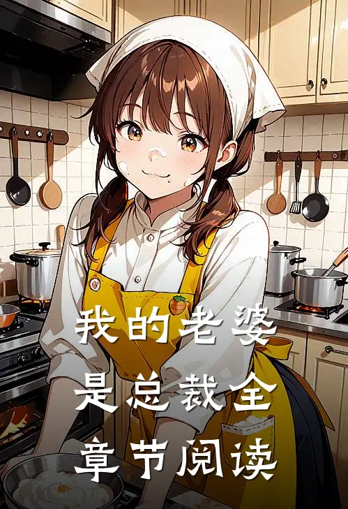 我的老婆是总裁全章节阅读