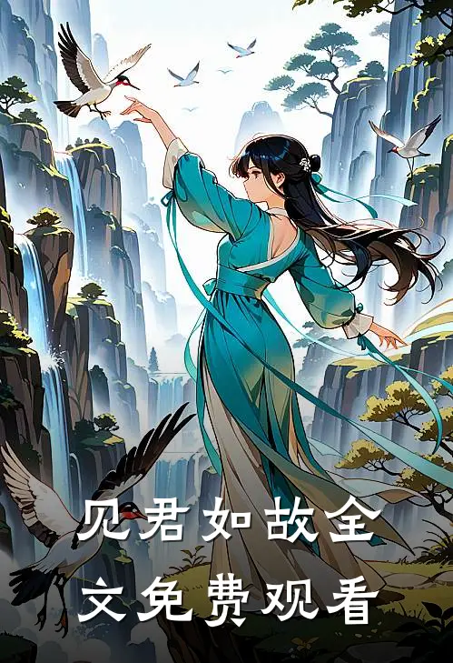 见君如故全文免费观看
