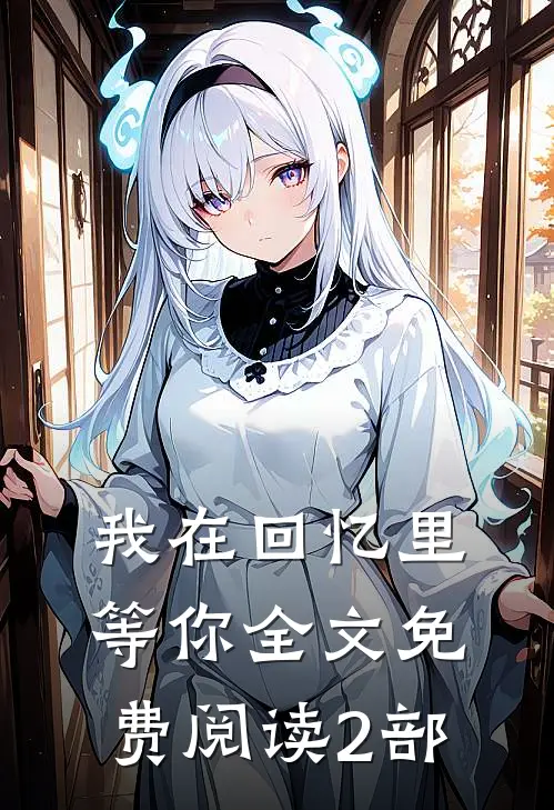 我在回忆里等你全文免费阅读2部