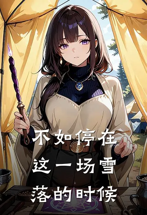 不如停在这一场雪落的时候