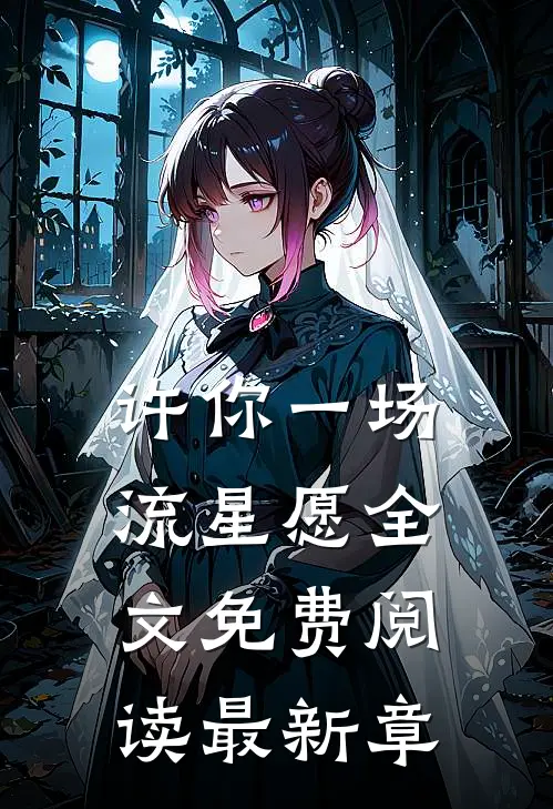 许你一场流星愿全文免费阅读最新章