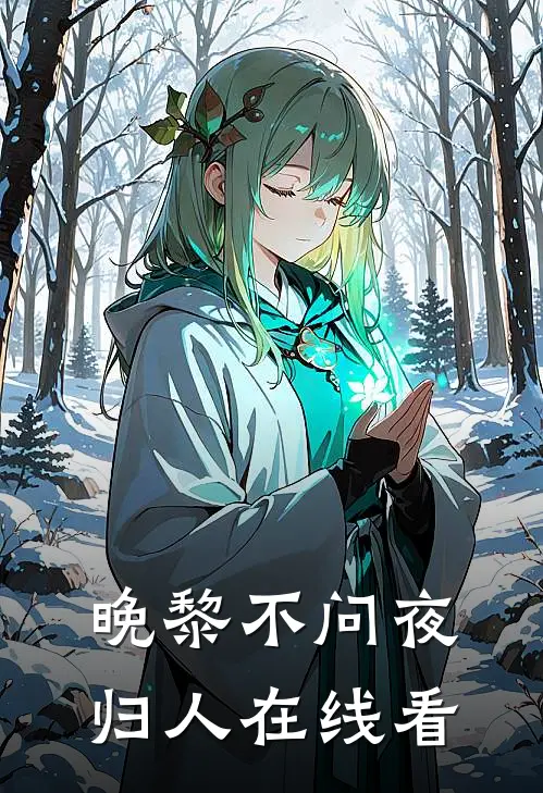 晚黎不问夜归人在线看