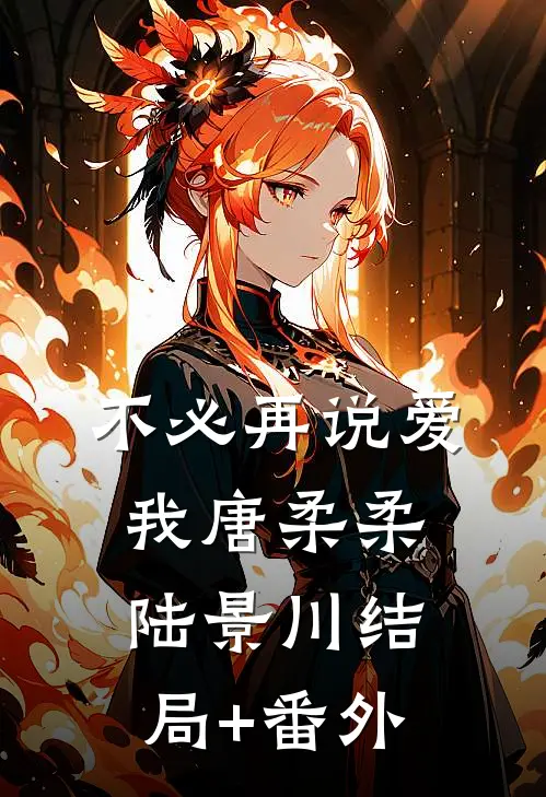 不必再说爱我唐柔柔陆景川结局+番外