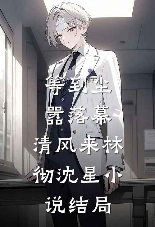 等到尘嚣落幕，清风来林彻沈星小说结局