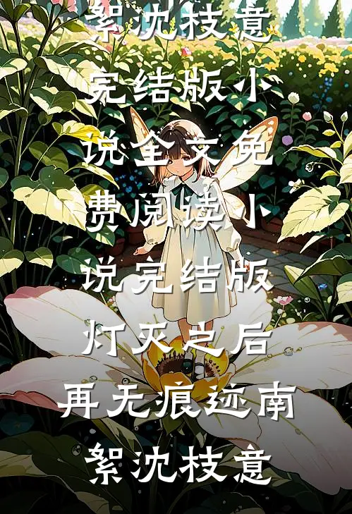 灯灭之后，再无痕迹(南絮沈枝意)完结版小说全文免费阅读_小说完结版灯灭之后，再无痕迹南絮沈枝意