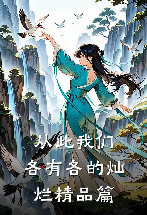 从此我们，各有各的灿烂精品篇