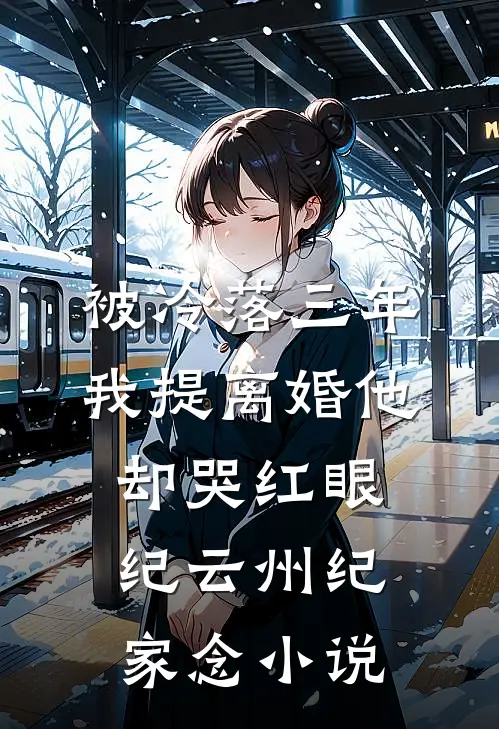 被冷落三年，我提离婚他却哭红眼纪云州纪家念小说