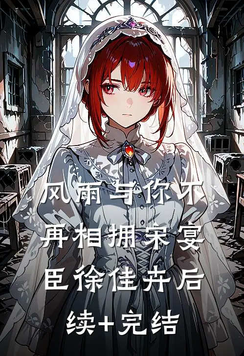 风雨与你不再相拥宋宴臣徐佳卉后续+完结
