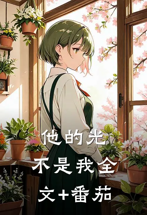 他的光，不是我全文+番茄