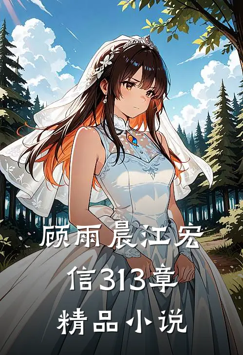顾雨晨江宏信313章精品小说