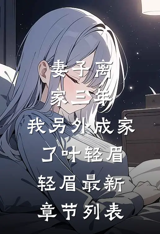 妻子离家三年，我另外成家了叶轻眉轻眉最新章节列表