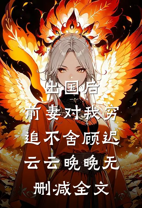 出国后，前妻对我穷追不舍顾迟云云晚晚无删减全文