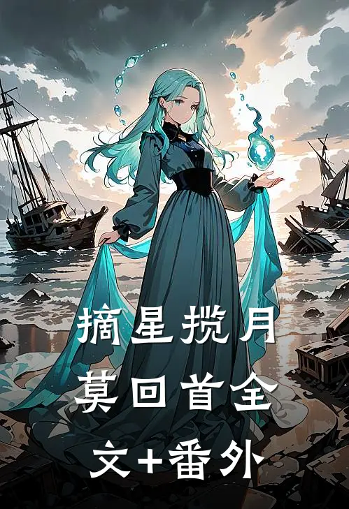 摘星揽月莫回首全文+番外