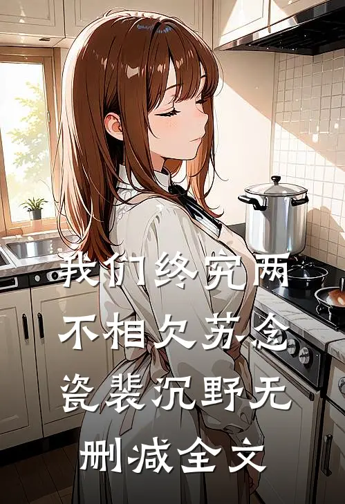 我们终究两不相欠苏念瓷裴沉野无删减全文