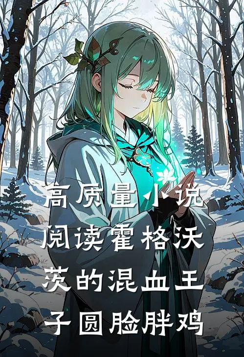 高质量小说阅读霍格沃茨的混血王子 圆脸胖鸡