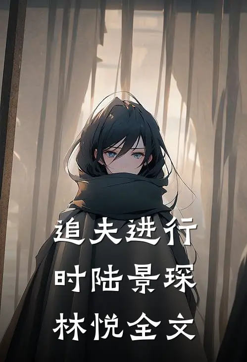 追夫进行时陆景琛林悦全文
