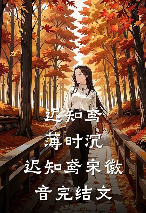 迟知鸢薄时沉:  迟知鸢宋徽音完结文