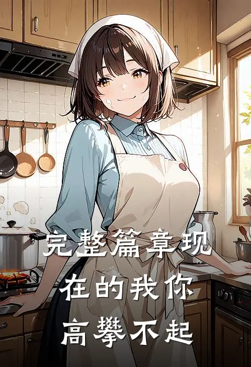 完整篇章现在的我你高攀不起