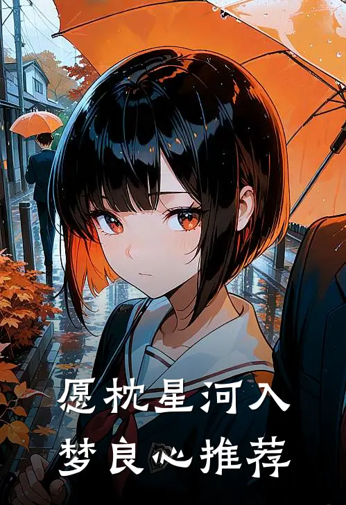 愿枕星河入梦良心推荐