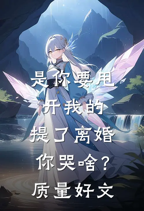 是你要甩开我的，提了离婚你哭啥？质量好文