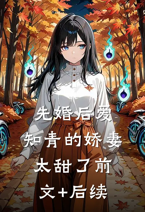 先婚后爱：知青的娇妻太甜了前文+后续