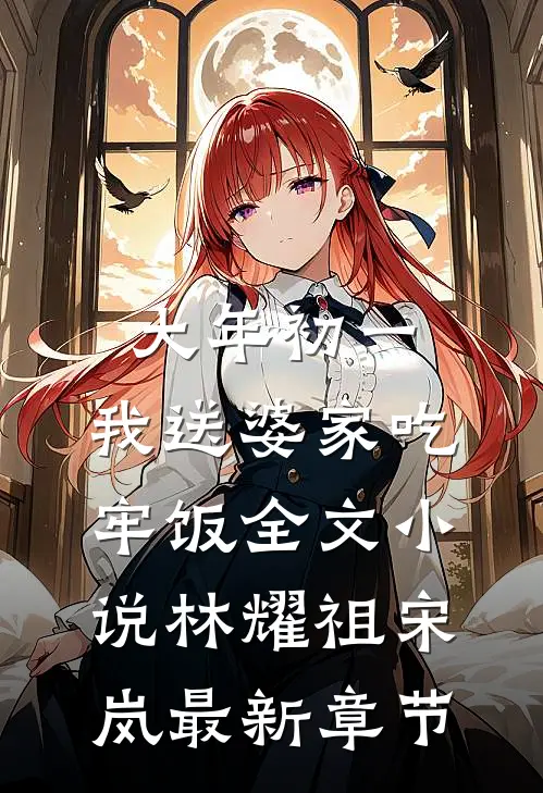 大年初一，我送婆家吃牢饭全文小说林耀祖宋岚最新章节