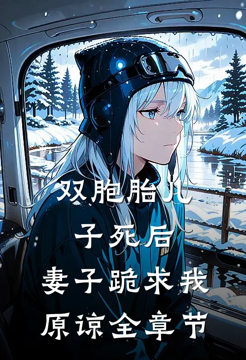 双胞胎儿子死后，妻子跪求我原谅全章节