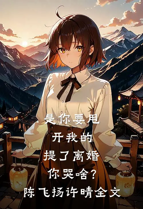 是你要甩开我的，提了离婚你哭啥？陈飞扬许晴全文
