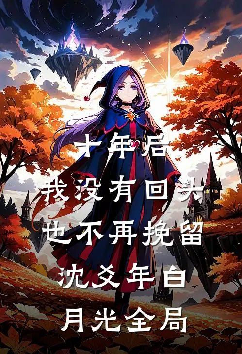 十年后，我没有回头也不再挽留沈爻年白月光全局