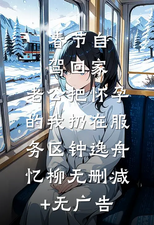 春节自驾回家，老公把怀孕的我扔在服务区钟逸舟忆柳无删减+无广告