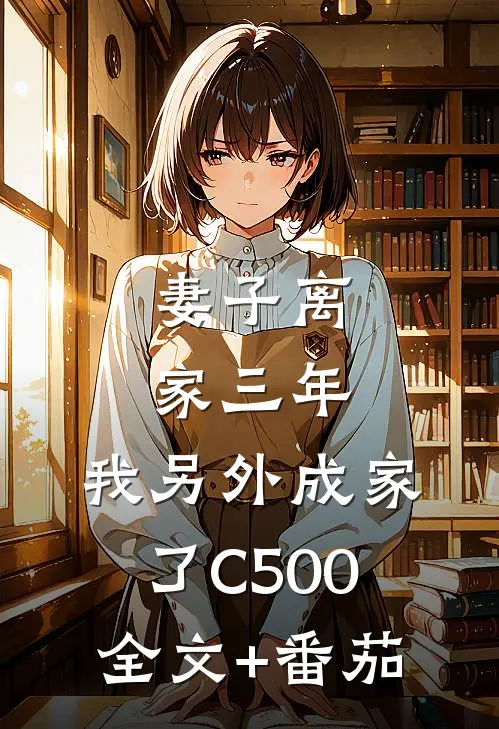 妻子离家三年，我另外成家了C500全文+番茄