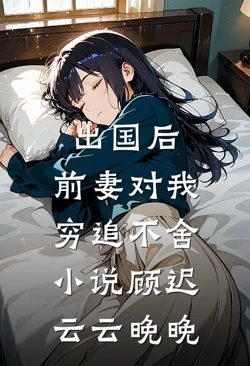 出国后，前妻对我穷追不舍小说顾迟云云晚晚