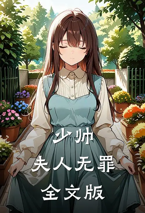 少帅，夫人无罪全文版