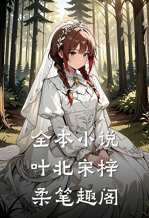 全本小说叶北宋梓柔笔趣阁