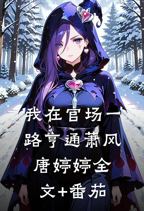 我在官场一路亨通萧风唐婷婷全文+番茄