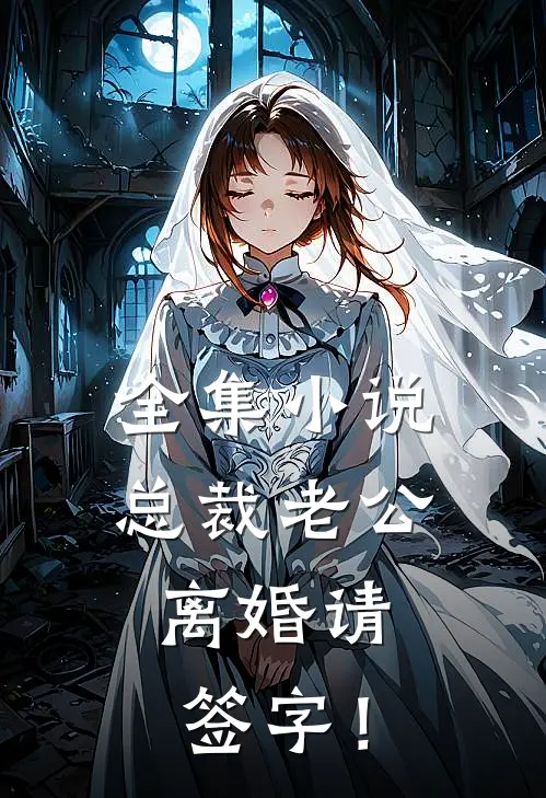 全集小说总裁老公，离婚请签字！