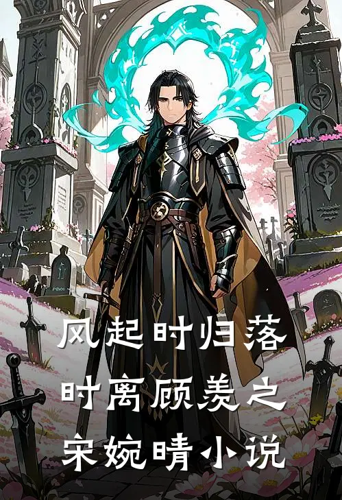 风起时归落时离顾羡之宋婉晴小说