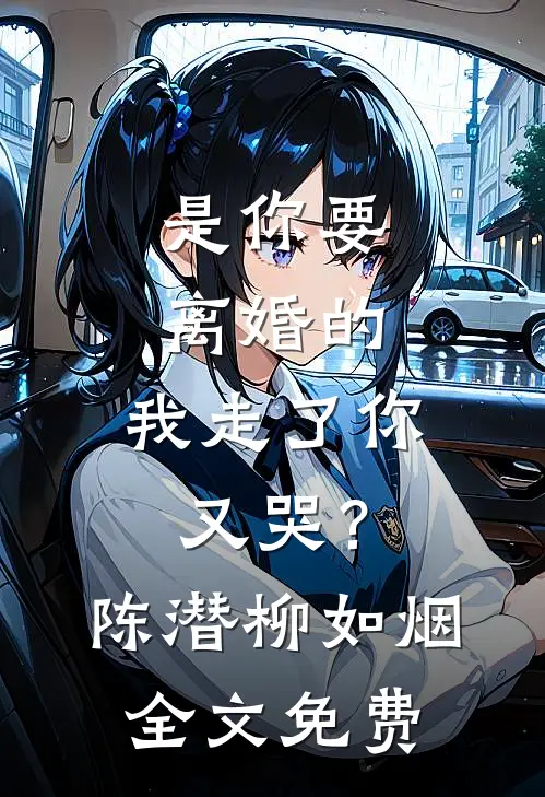 是你要离婚的，我走了你又哭？陈潜柳如烟全文免费