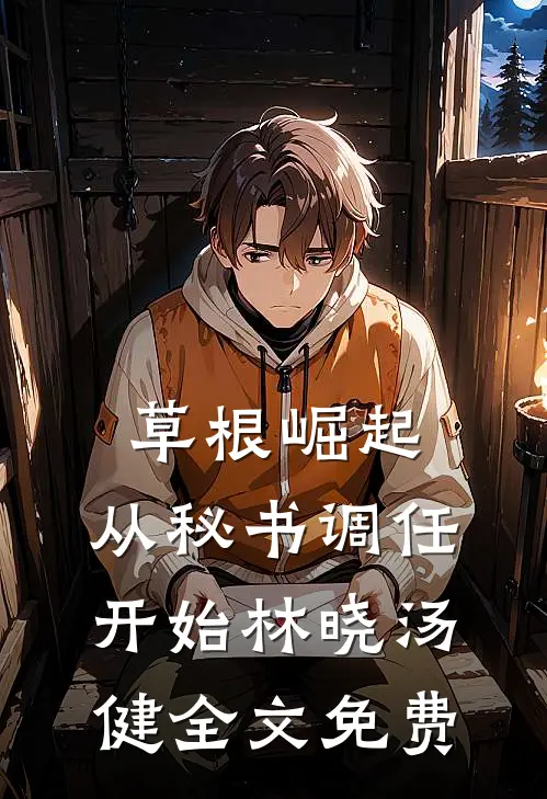草根崛起：从秘书调任开始林晓汤健全文免费