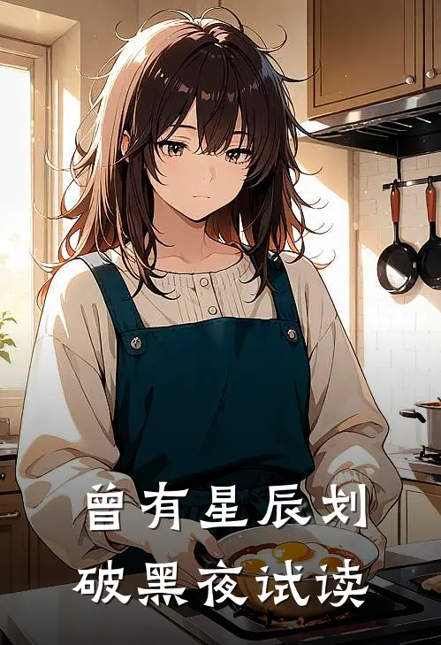 曾有星辰划破黑夜试读