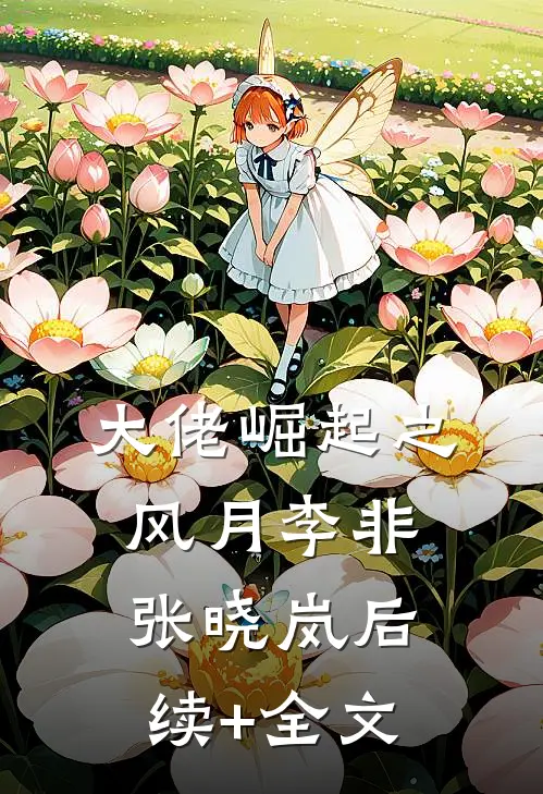 大佬崛起之风月李非张晓岚后续+全文