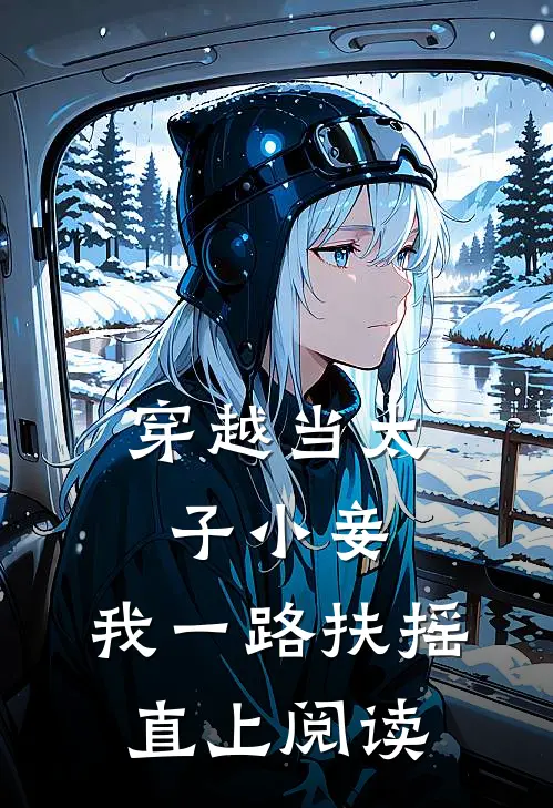 穿越当太子小妾，我一路扶摇直上阅读