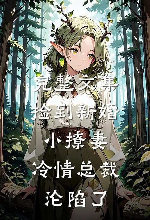 完整文集捡到新婚小撩妻，冷情总裁沦陷了