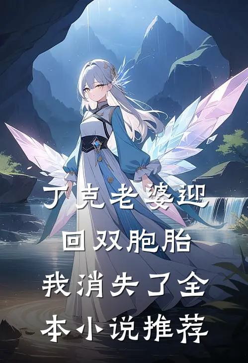 丁克老婆迎回双胞胎,我消失了全本推荐阅读