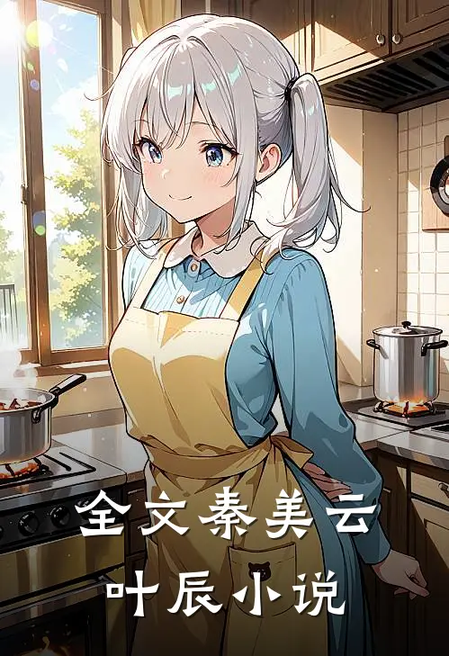 全文秦美云叶辰小说