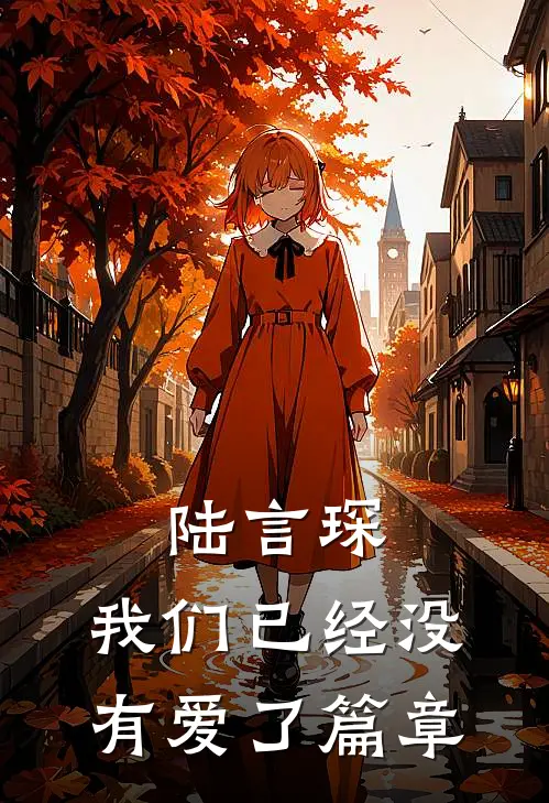 陆言琛，我们已经没有爱了篇章