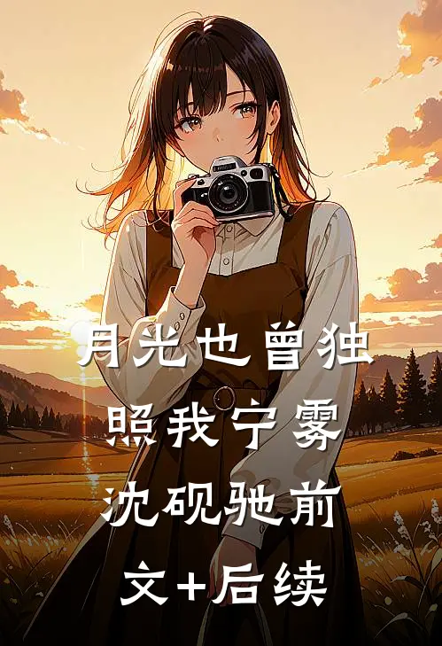 月光也曾独照我宁雾沈砚驰前文+后续