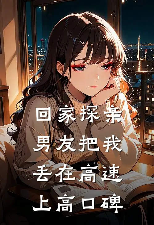 回家探亲，男友把我丢在高速上高口碑